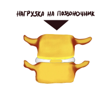Изображена нагрузка на позвоночник